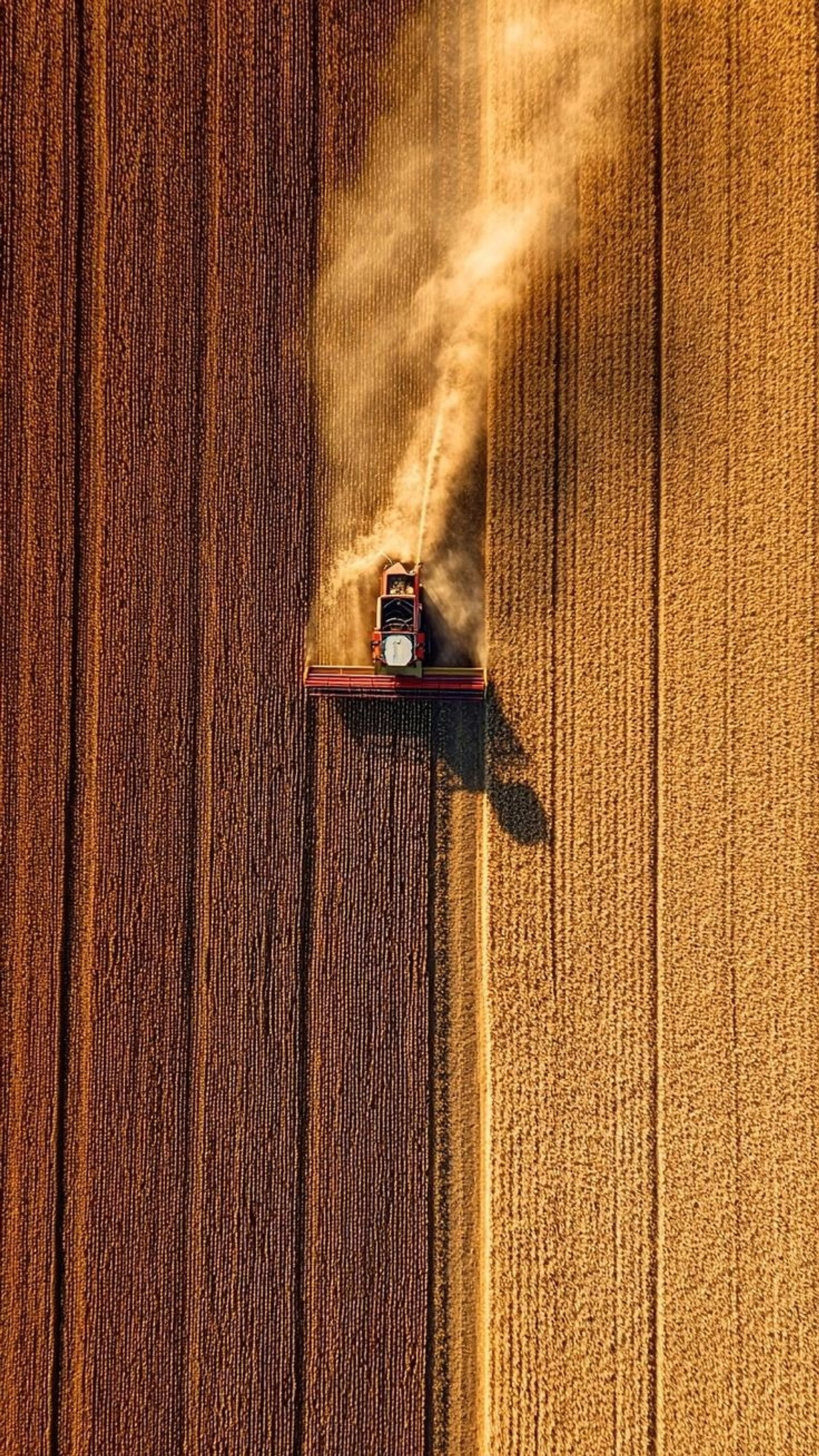 Agriculture